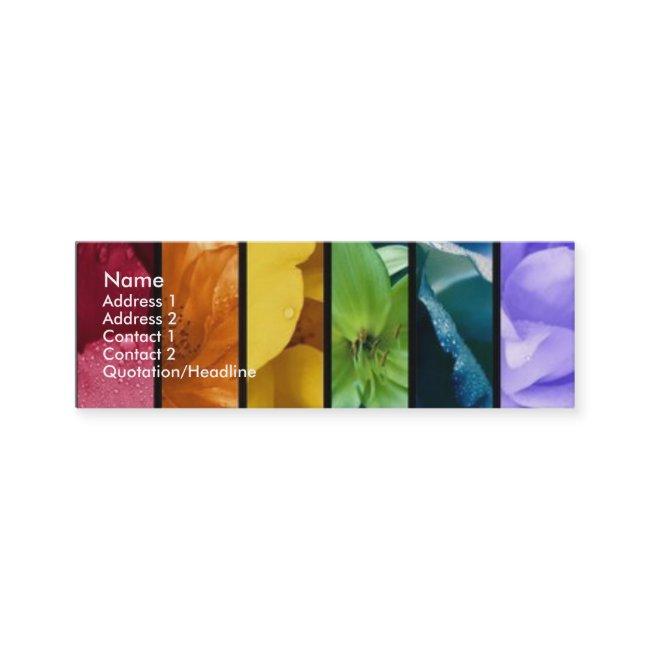 Rainbow Pride Profile Card