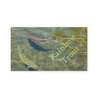 Rainbow Trout  Fishing Fisherman