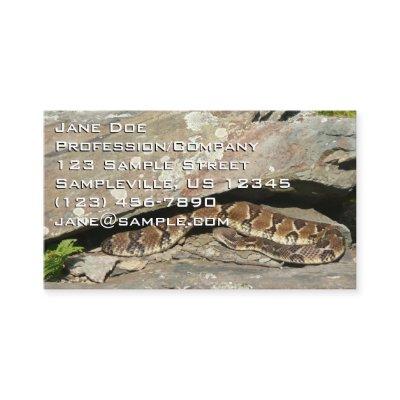 Rattlesnake at Shenandoah National Park