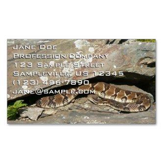 Rattlesnake at Shenandoah National Park  Magnet