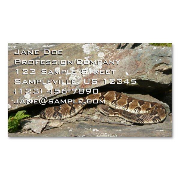 Rattlesnake at Shenandoah National Park Magnet