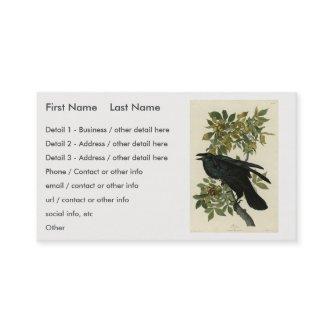 Raven (Common Raven) from Audubon Birds of America