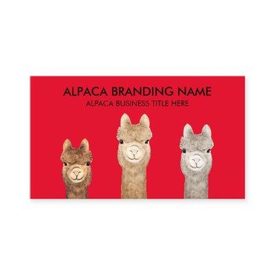 Red Alpaca Animal