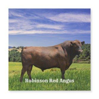 Red Angus Bull