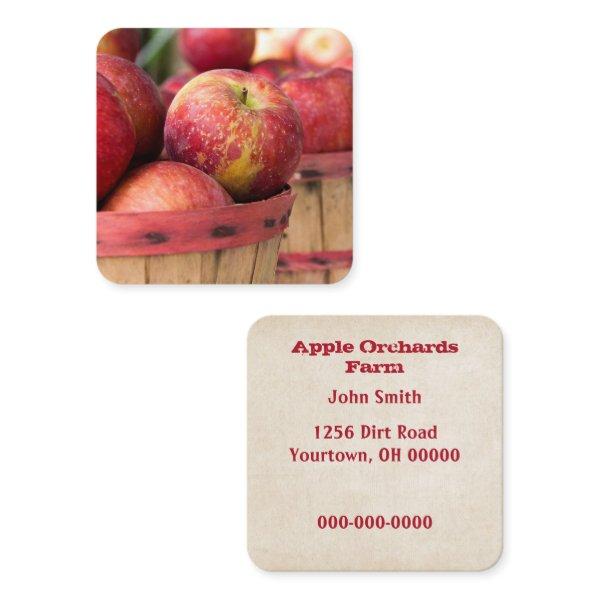 Red Apples In Basket Square