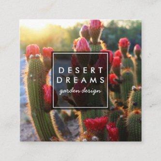 Red Cactus Flower Desert Garden Photo Travel Tours Square