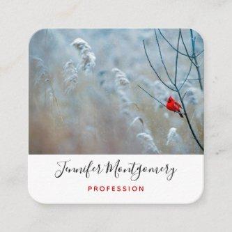 Red Cardinal in Winter Nature Photo Christmas Square