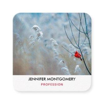 Red Cardinal in Winter Nature Photo Christmas Square