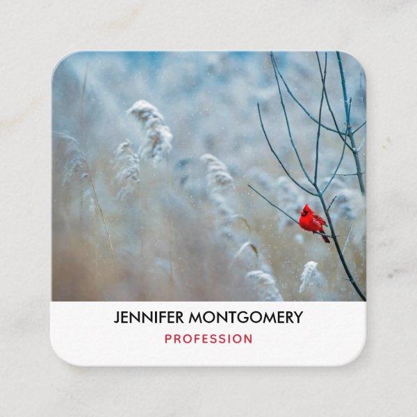 Red Cardinal in Winter Nature Photo Christmas Square