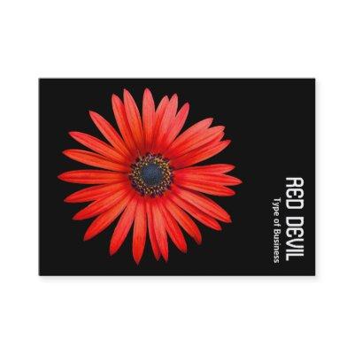 RED DEVIL - Black