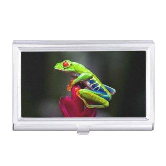Red-eyed Tree Frog  Case