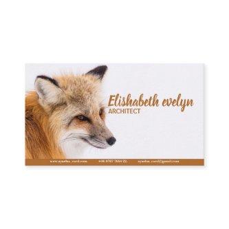 Red Fox