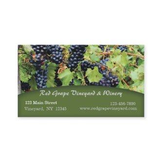 Red Grapes Vineyard