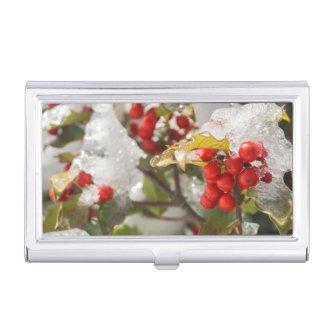 Red Holly Berries Snow and Ice Case For