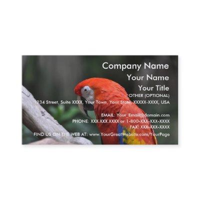Red Parrot -  template