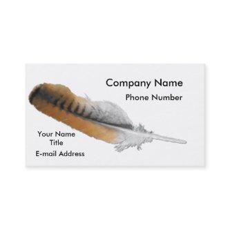 Red-tail Hawk feather