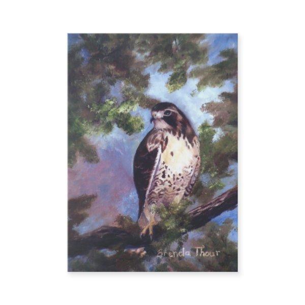 Red Tailed Hawk Art Card
