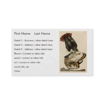 Red-tailed Hawk from Audubon's Birds of America