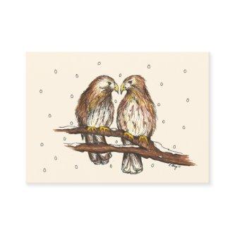 Red-Tailed Hawks Love Bird Watching Snow Winter