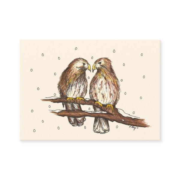 Red-Tailed Hawks Love Bird Watching Snow Winter
