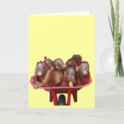 red wheelbarrow orangutans card