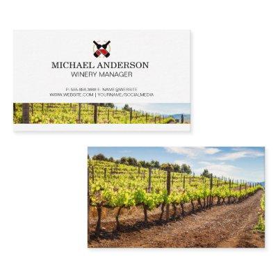 Red Wine Bottles | Vineyard Winery Field