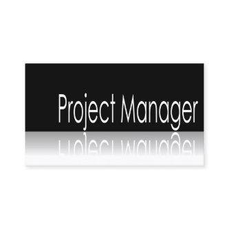 Reflective Text - Project Manager