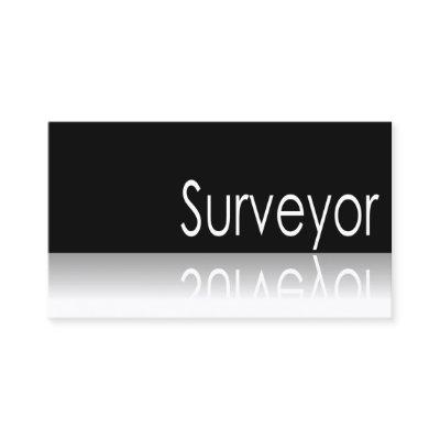 Reflective Text - Surveyor