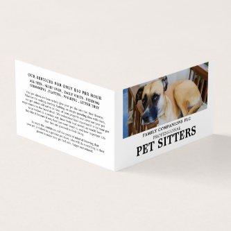 Relaxed Dog, Pet Service Detailed