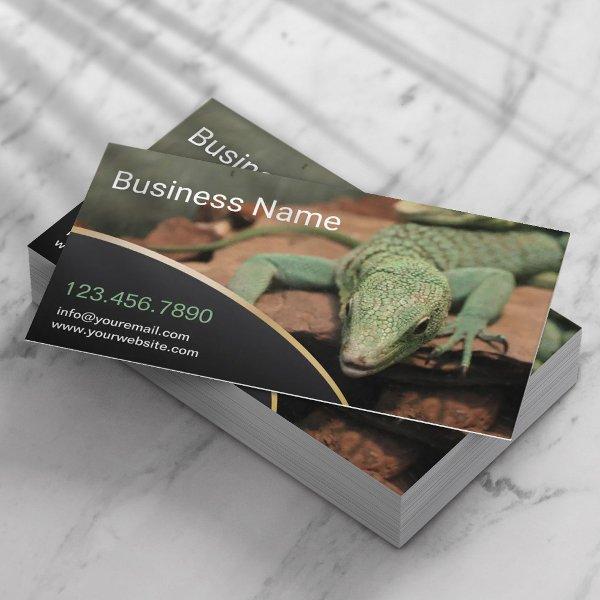 Reptile Lizard Live Pet Store Professional