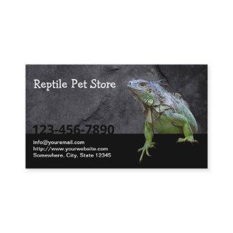 Reptile Pet Store Iguana Lizard