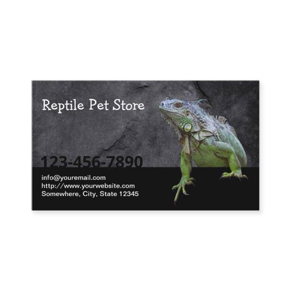 Reptile Pet Store Iguana Lizard
