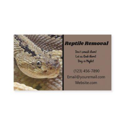 Reptile Removal