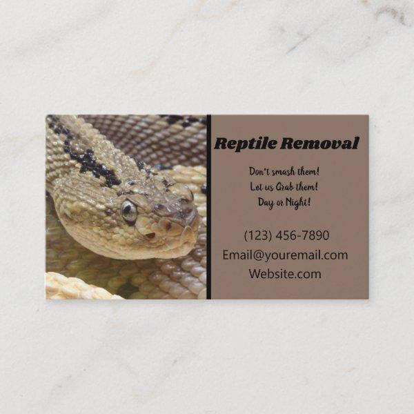 Reptile Removal