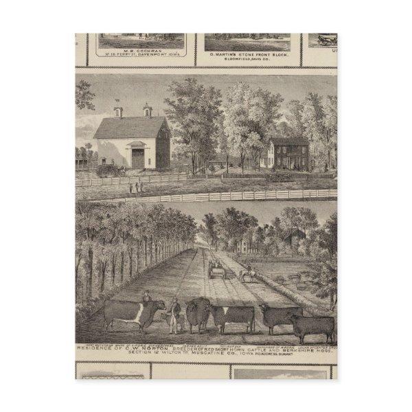 Residences & businesses in Muscatine Postcard