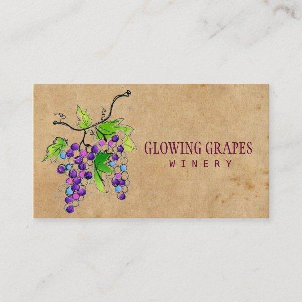Retro Vintage Vineyard Harvest Grapes Winery