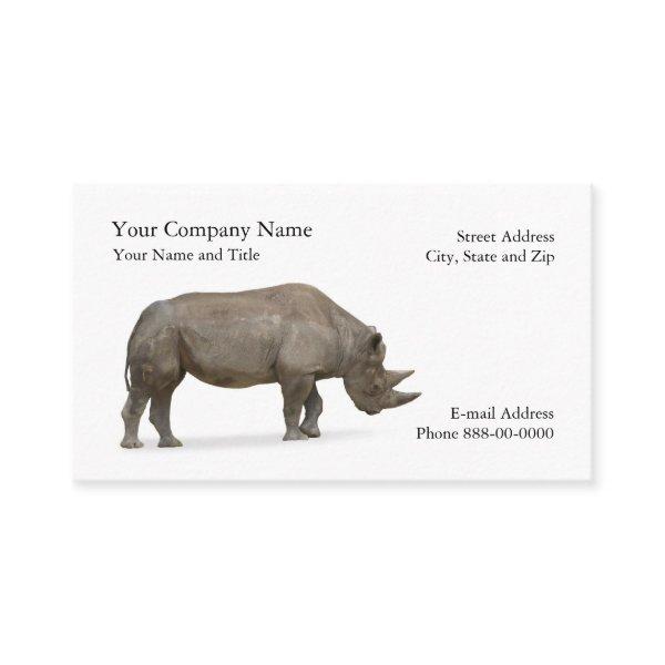 Rhino Zoologist