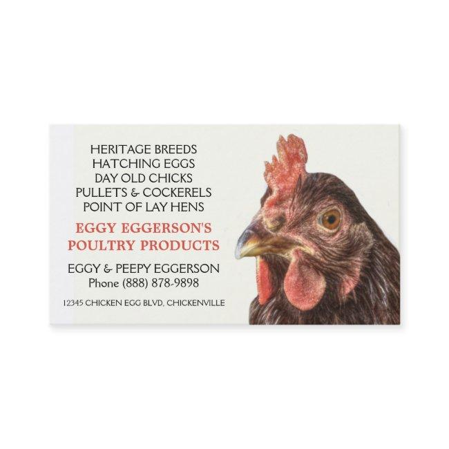 Rhode Island Red Hen Chicken Egg Farmer