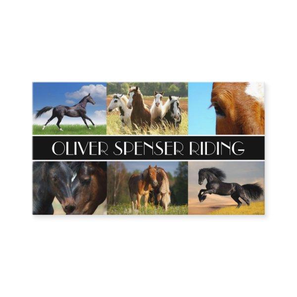 Riding Instructor Horse Training School