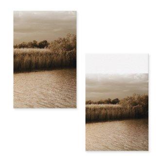 river in flood