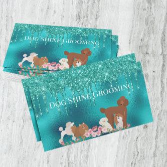 Robin's Egg Blue Dog Grooming Appointment Card