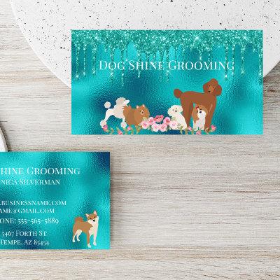 Robin's Egg Blue Dog Grooming Glitter Pet Services