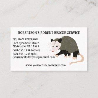 Rodent Removal Possum Illustration