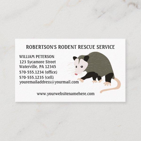 Rodent Removal Possum Illustration