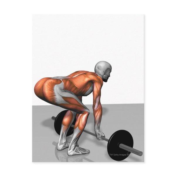 Romanian Deadlift 2 Postcard