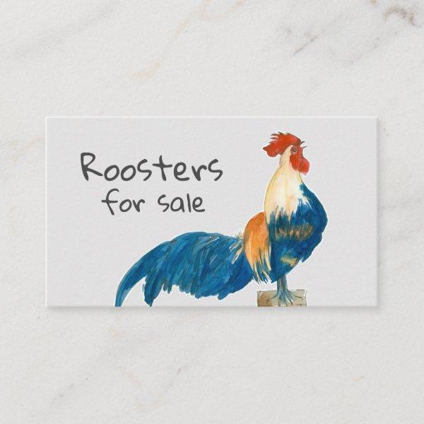 Roosters For Sale Chickens Farm Animal
