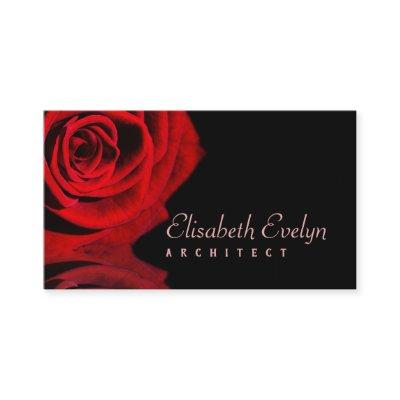 Rose And Reflection