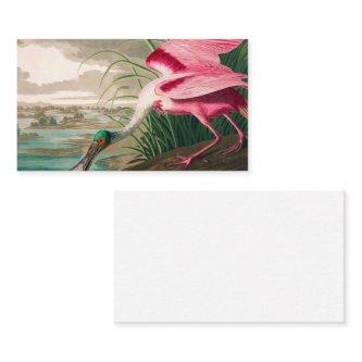 Roseate Spoonbill by John James Audubon