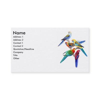Rosella Parrots