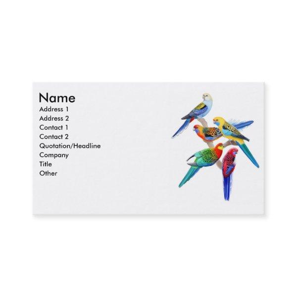 Rosella Parrots